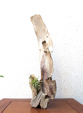 精选千年胡杨风化老木原木整体随形根艺摆件自然禅意创意搭配收藏