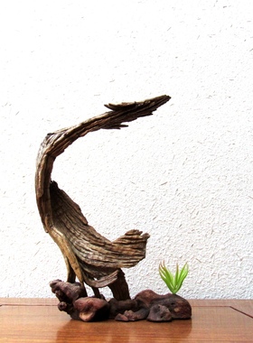千年胡杨风化老木原木随形根艺摆件自然禅意艺术创意家居收藏饰品