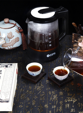蒸汽煮茶壶家用办公室煮茶壶