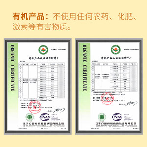 硃碌科有机燕麦米3斤东北新燕麦仁农家胚芽米燕麦粒五谷杂粮粗粮