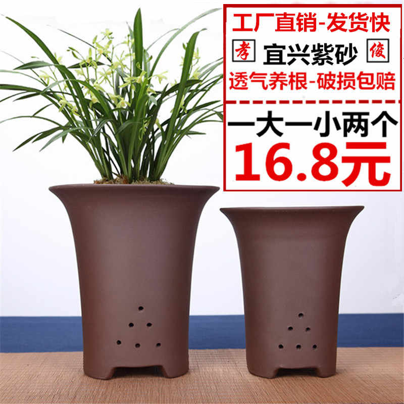 大花盆花 新人首单立减十元 2021年12月 淘宝海外