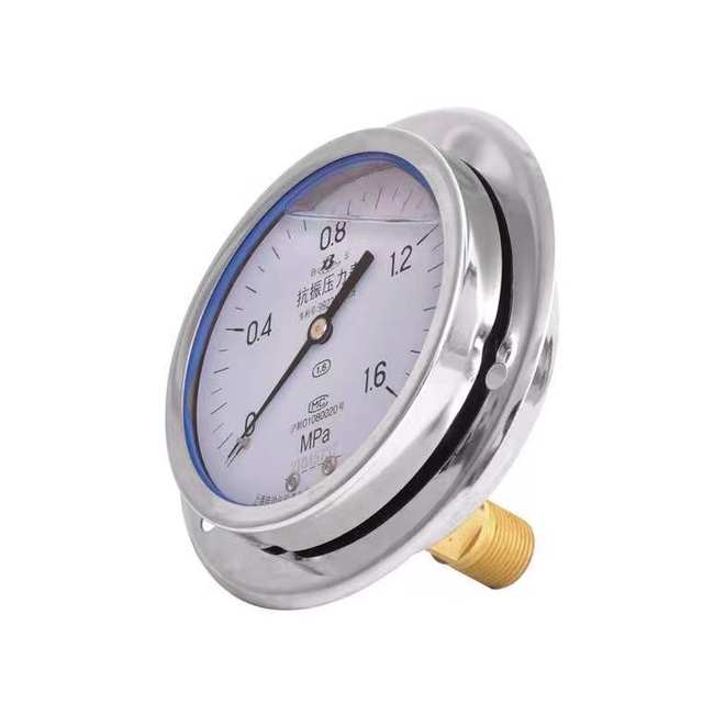 Shanghai Baiyun brand axial edge shock-resistant pressure gauge