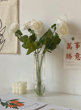 森森玻璃花瓶番茄民宿卧室小众