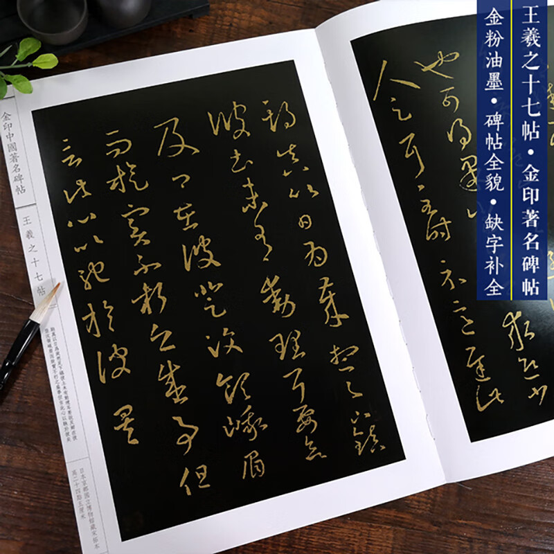 王羲之十七帖 金印中国碑帖 孙宝文编 名家作品精选 王羲之草书毛笔书法软笔字帖 简体旁注原碑原帖 成人学生书法入门临摹书籍
