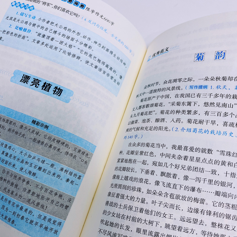 正版 小学生五六年级作文书5-6年级 教师教限字作文600字作文大全分类作文写人写景记事一本通范文指导思维导图 - 图2