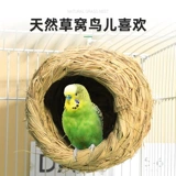 Трава с птичьим гнездом xuanfeng peony parr жемчужное жемчужное гнездо гнездо локация разбито