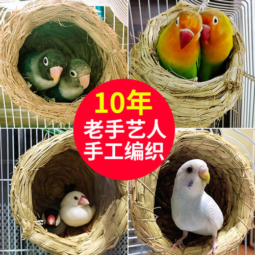 草编鸟窝玄凤牡丹鹦鹉珍珠草窝小鸟巢繁殖箱保暖用品芦丁鸡专用窝 - 图3