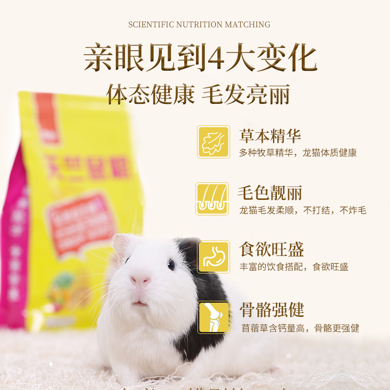 威毕荷兰猪豚鼠粮饲料天竺鼠粮食荷兰鼠宠物用品营养主粮草粮食物 - 图3