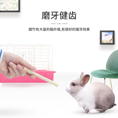 威毕甜竹兔子荷兰猪磨牙小零食用品龙猫仓鼠松鼠磨牙棒咬木枝500g - 图1
