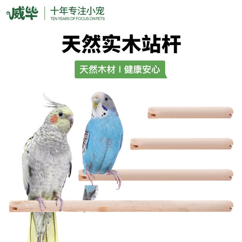 鸟笼塑料站杆木制站杆虎皮鹦鹉八哥鹩哥站杆鸟笼配件站棍长度可选 - 图0