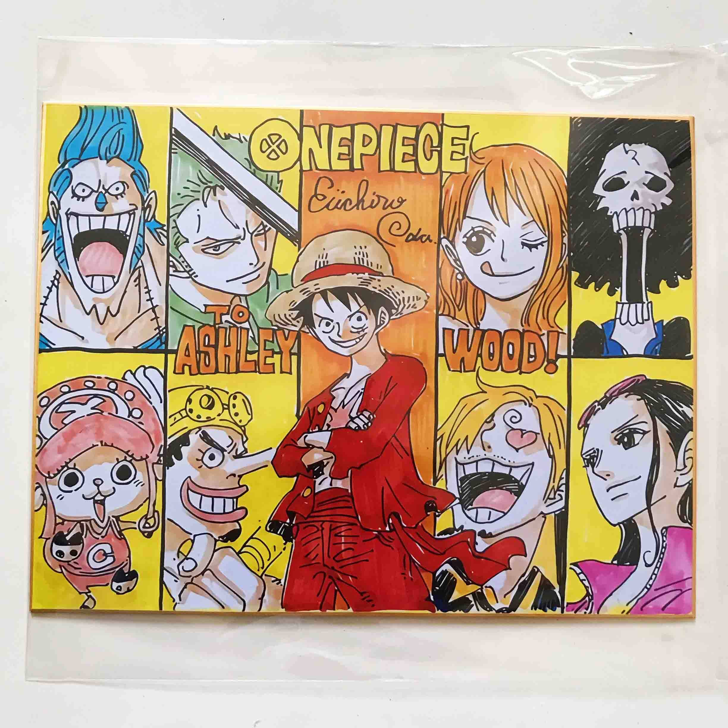 One Piece 第１話 複製原画