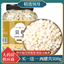 Sichuan fritillary Chinese herbal medicine official flagship store 500 gr Kawamabes efficacy Non-wild Pine Bay Fritillary Grain