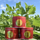Mengxin sunflower seeds large grain nuts roasted seeds and nuts in gift box