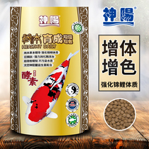 Divine Yang Tibetan Brocade Carp Feed All Season Universal Fish Food No Muddy Water Increase Color Increase Body Gold Fish Feed Small Grain Fish Grain