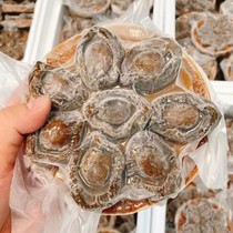 Heating ready-to-eat abalone 8 clothes Yoshimino Bao Cardigan Baud Fish Dry baud Boiled Baud for bailing out the clubhouse Private room