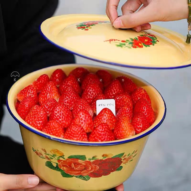 网红同款圣诞节草莓蛋糕装饰复古怀旧大红花搪瓷盆烘焙甜品装扮