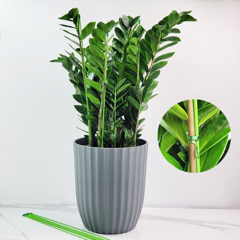 金钱树支撑杆蝴蝶兰蔬菜瓜果爬藤专用花架园艺防倒伏植物固定支架,淘宝优惠券,粉丝福利购,淘宝优惠卷