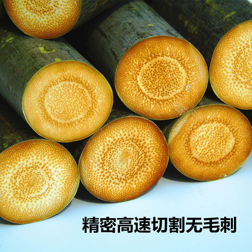 实心玉竹原材料毛料竹子文玩手把件高密度鱼子纹买盘玩冷门实心竹 - 图0