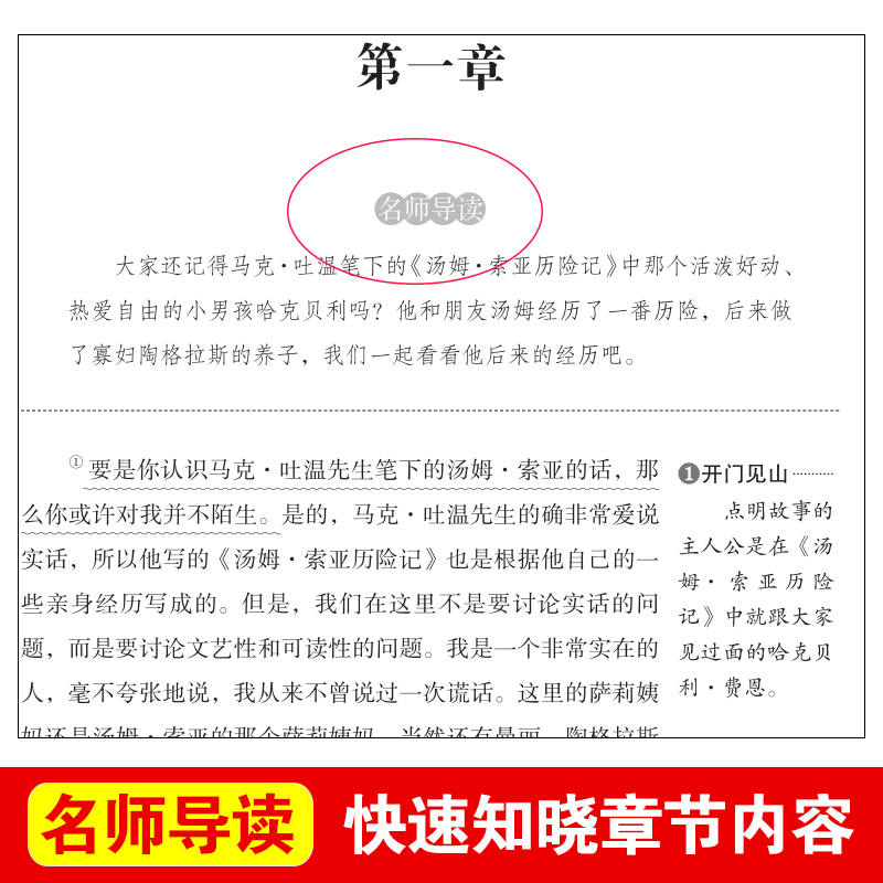 中小学适用】哈克贝利.费恩历险记 彩插励志版 3~6年级新课读物 中小学生假期阅读 假期阅读书语文新课读课外阅读Y - 图0