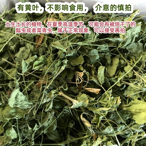 2023 Новый сушильный фиолетовый цветок, трава нежная трава, соус, 苜蓿 苜蓿 苜蓿 20 20 20 20 20 20 龙 龙 龙 20 20