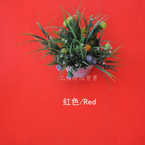 加厚纯色无纺布拍照背景布服装淘宝人像拍摄照相网红单色无纺布 - 图2