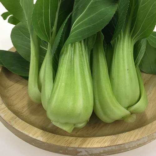 大油菜 鲜嫩油白菜新鲜蔬菜香菇油菜密云老农家种植现摘450克 - 图2