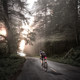 Giant FLEET SL saddle is specially equipped with TL tail light USB charging waterproof mountain bike road bike bicycle light