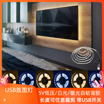 USB home TV Background 5V Charging Bao Self-adhesive light strip ground floor Dormitory Led Lights with atmosphere Soft light Bar 2835