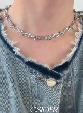 简约风钛钢项链男女小众设计轻奢气质配饰锁骨链饰品