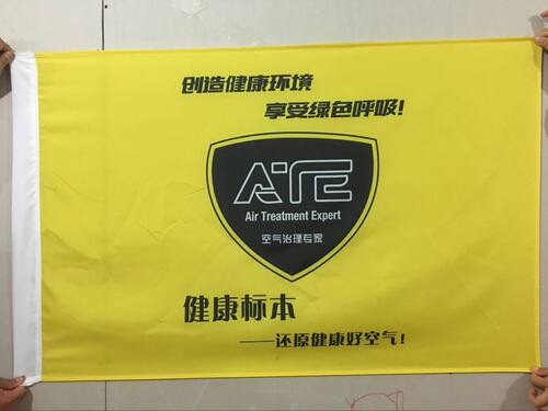 定做旗帜订做校旗班旗厂旗公司旗仿古旗导游旗队旗国旗标志旗彩旗 - 图3