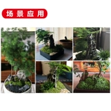 Каменный орнамент Рыбной танк пейзаж поддельный ландшафт Bonsai Wenshi Accessories аксессуары для горшечного растения