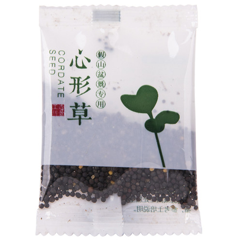 上水石吸水石假山草籽盆景微景观盆栽草籽植物珍珠草碗莲苔藓粉 - 图3