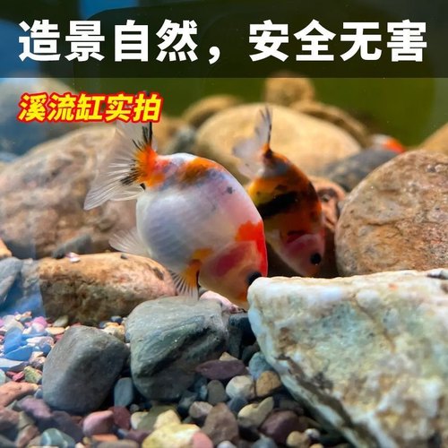 溪流石原生态鱼缸装饰底砂水族溪流缸铺底天然溪流砂造景溪流沙-图1