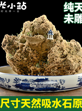 天然盆景小型假山招财麦管吸水石