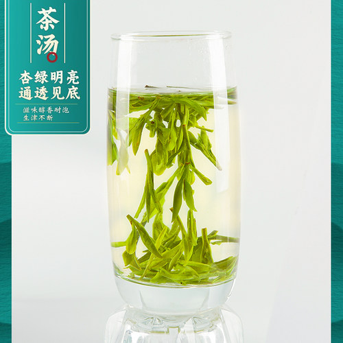越乡龙井茶2026新茶雨前口粮茶500g浙江龙井绿茶高山浓香型茶叶 - 图1