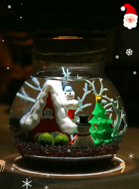 南枝集圣诞节日礼品生态瓶小摆件