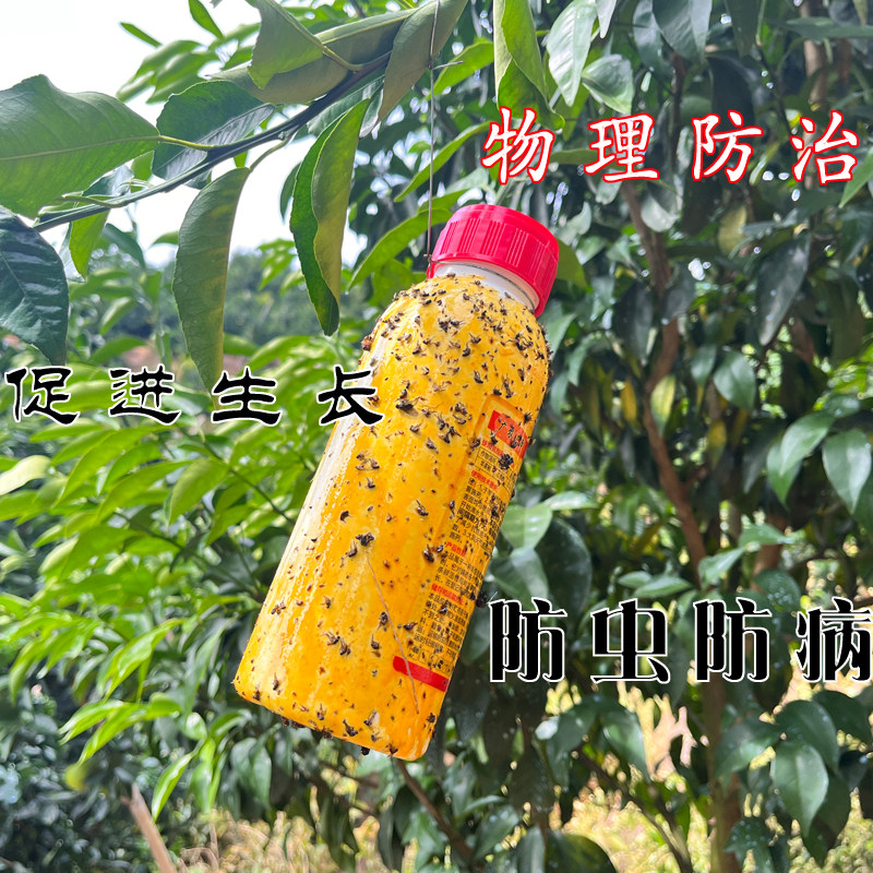 【顺丰德邦包邮赣南脐橙】买5斤送5斤当季水果新鲜采摘手剥的甜橙,淘宝优惠券,粉丝福利购,淘宝优惠卷