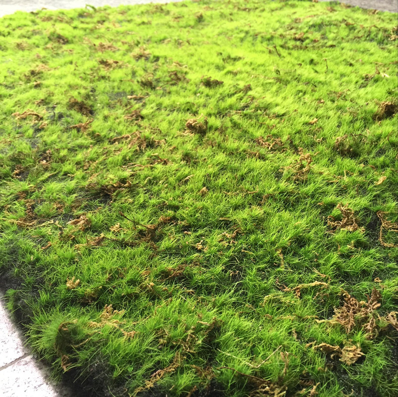 仿真绿植物墙青苔藓草皮仿真青苔草坪盆景草坪植物场景橱窗假苔藓-图1