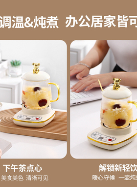 迷你养生壶煮茶器礼盒装