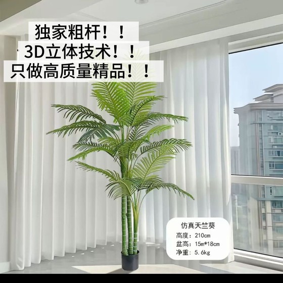 Simulated plant sibirica, phoenix phoenix, simulated potted plant