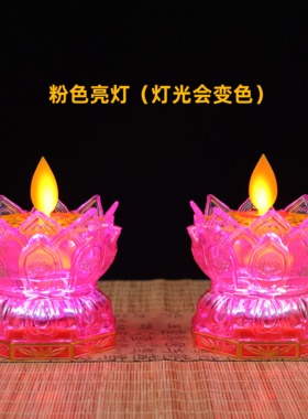 LED摇摆莲花灯电池插电两用款