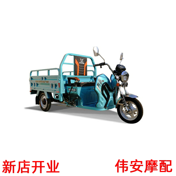 Jiangsu Zongshen ຫມໍ້ໄຟໄຟຟ້າສາມລໍ້ລົດການຄວບຄຸມຕົ້ນສະບັບ 48V60V650W800W1000W ພິເສດ 18 ທໍ່