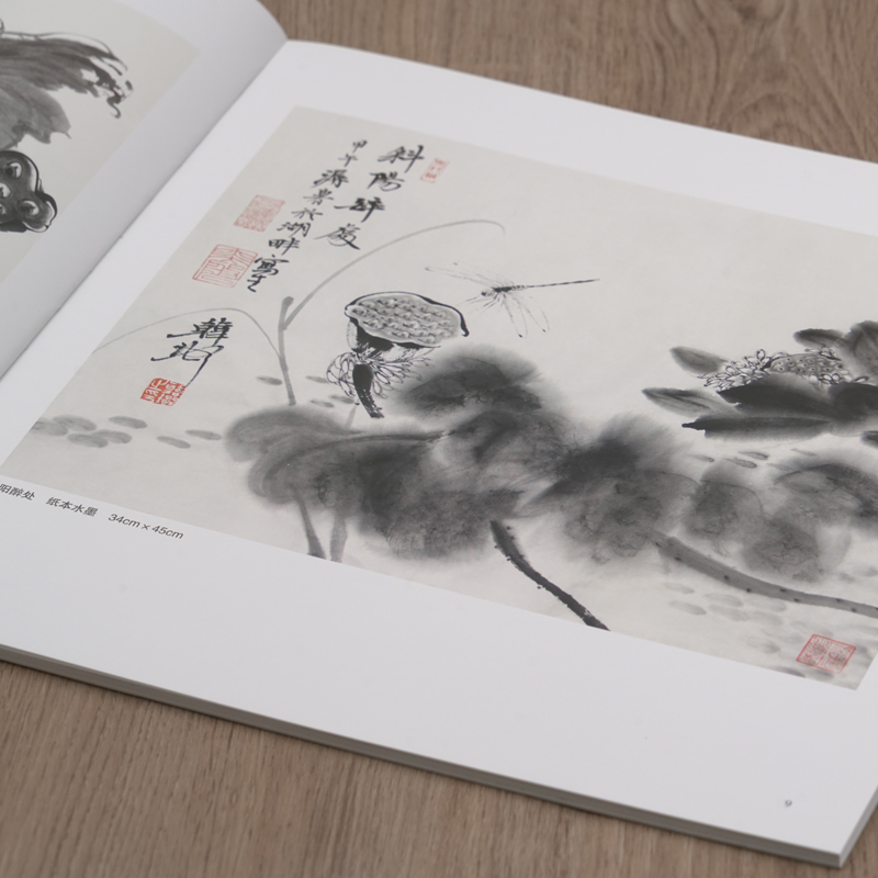 韩璐意笔花鸟课徒稿 中国美术学院名家教学示范作品 学生创作中国画花鸟画入门临摹教程写意花鸟国画绘画技法教材作品画集南山课稿 - 图2