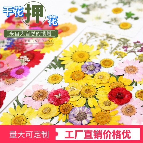 压花干花材料包 植物标本 树叶贴画真花押花儿童手工diy 花事未了 - 图0
