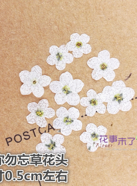 干花压花美甲手工沙龙植物标本