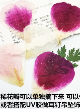 干花压花植物标本压花