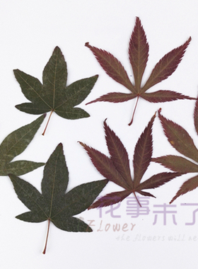 红枫叶手机壳教学未了天然干花