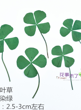 大小四叶草干花手机壳diy
