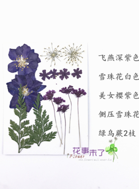 干花脸部装饰儿童手工植物标本