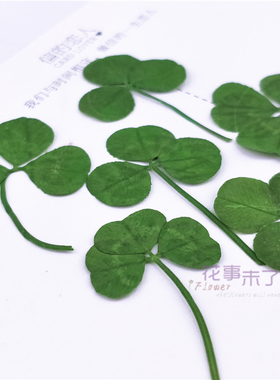 绿色三叶草滴胶干花手机香薰腊片